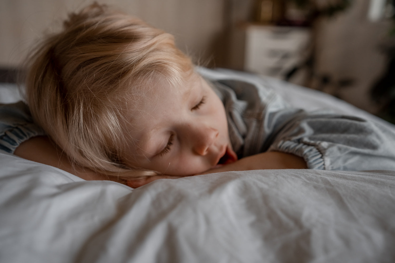 Wisewool™ Cloud Pillow
