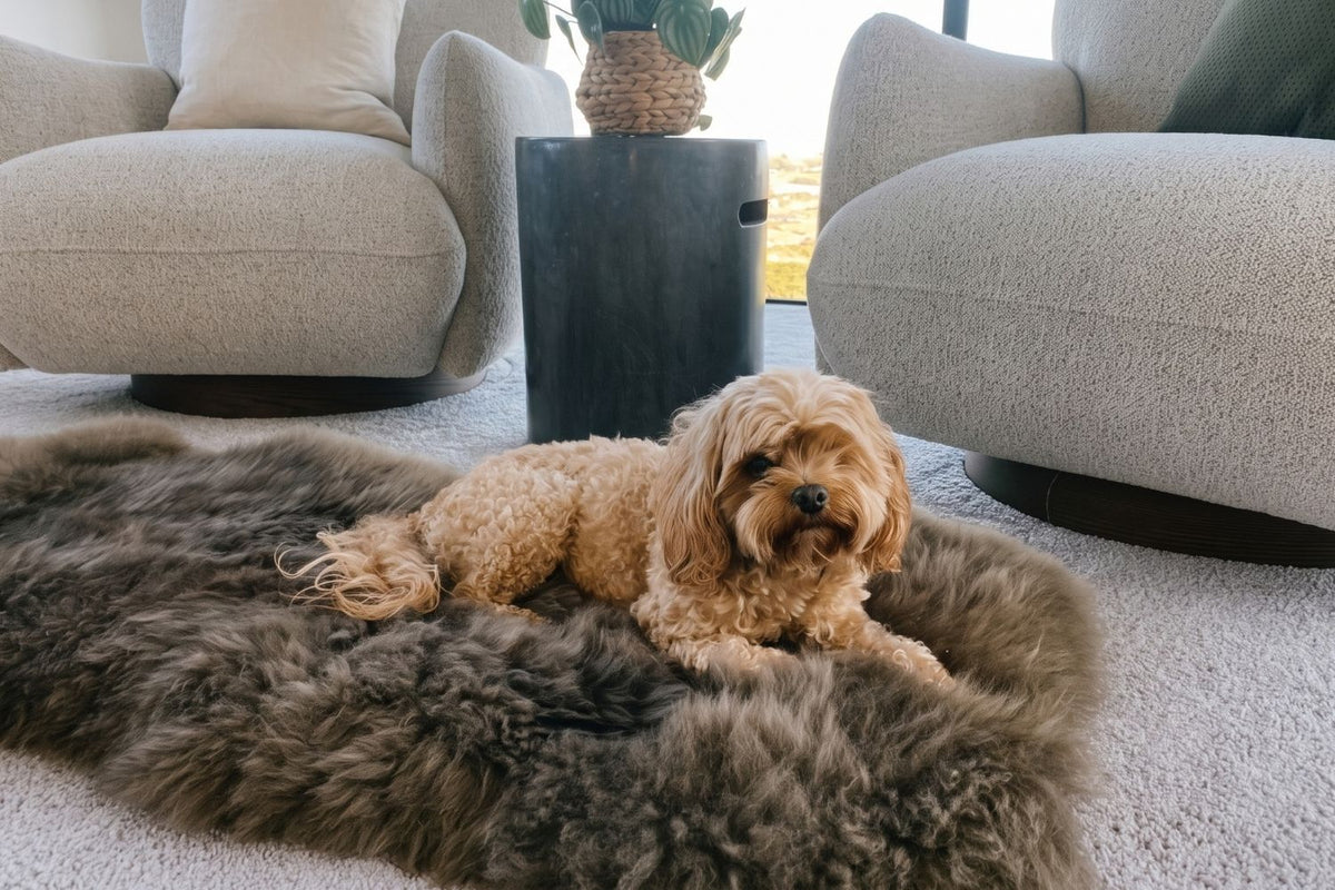 New Zealand Sheepskin Rug