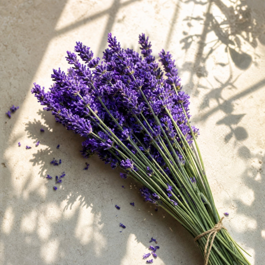 Bouquet of lavender on a textured surface with natural light