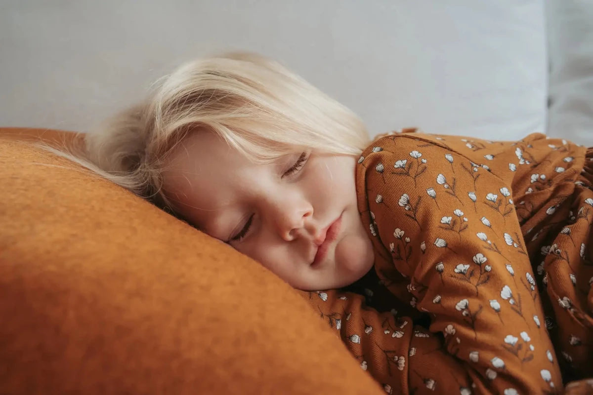 Felted NZ Wool Cushion - Do Not Disturb Sleep Company