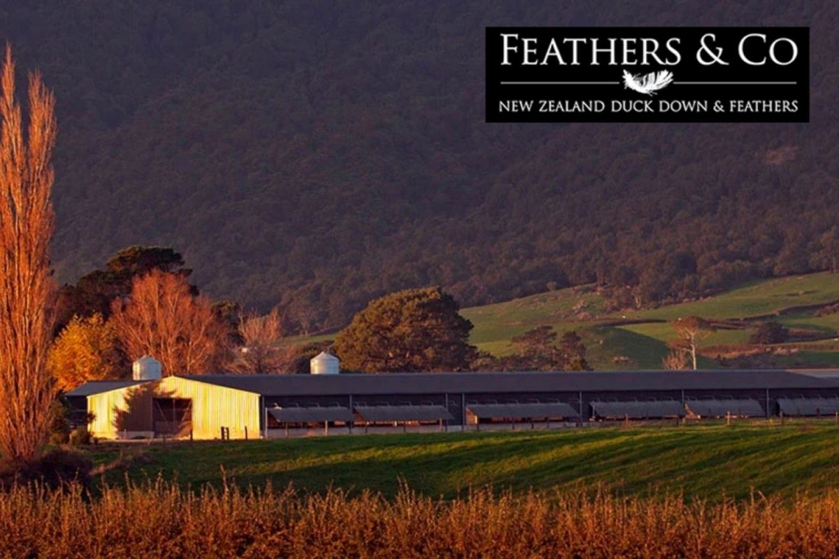 LIMITED EDITION Perfect Marriage Pillow - Do Not Disturb Sleep Company