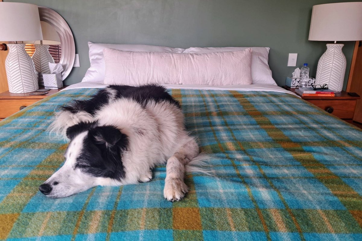 Wisewool™ Body Pillows - Do Not Disturb Sleep Company